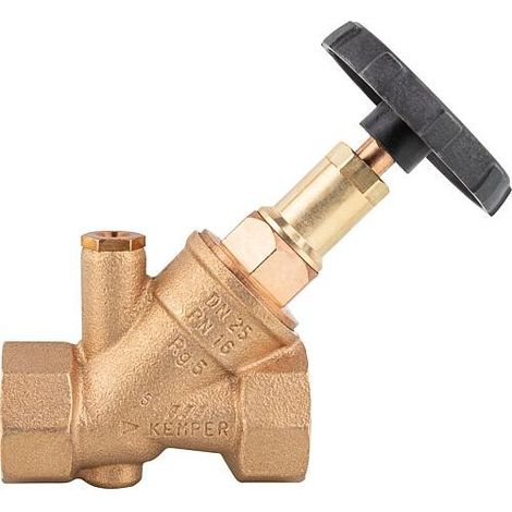 Vanne à flux libre KEMPER RG avec bouchon de vidange G1/4, IG DN50 (2") (1/3)