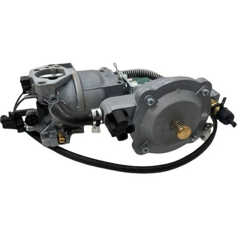 Carburateur à double carburant pour groupe électrogène 188F, carburateur pour groupe électrogène à essence 190F, pompe à eau pour groupe électrogène GPL/GN GX390, double carburant GPL/essence.