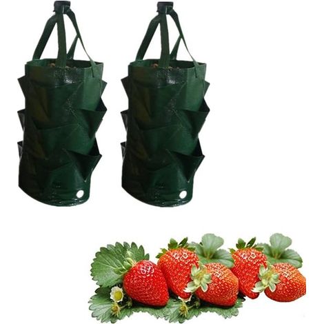 2 wiederverwendbare Pflanzsäcke Pflanzbeutel für DIY Projekte, Kartoffeln, Tomaten, Erdbeeren und Obstpflanzen Gartentöpfe Pflanzsäcke mit Griffe (1/5)