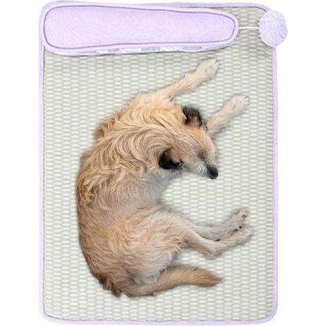 pour Chien Coussin de Sieste Rafrachissant pour Chat avec (1/5)