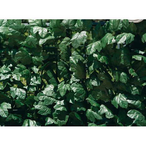 Arella Siepe Sintetica Artificiale 3x1m in Polipropilene Ombreggiante Rama Foglie di Edera (1/3)
