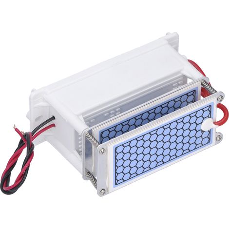 Générateur d'ozone 20 g/h 110 W, machine à décharge par brosse, purificateur d'air, alimentation industrielle 110 V CA (1/5)