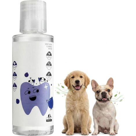 200ml RinçAge Buccal Chien, Soin Bucco-Dentaire pour Animaux, Pas Besoin de Se Brosser Les Dents, RéDuit la Plaque Dentaire et La Mauvaise Haleine, Soin Buccal Quotidien Doux (1/5)