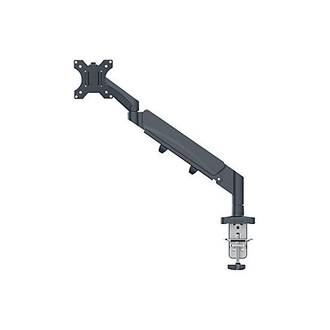 Leitz  Ergo Braccio monitor singolo salvaspazio  portata 9 kg 
