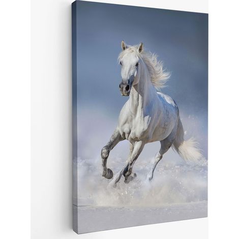 Tableau toile - Cheval blanc (1/2)