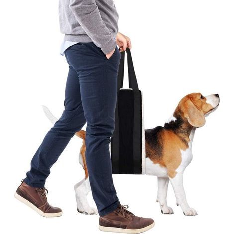 Grande écharpe pour chien de 30 à 120 lb pour les pattes arrière aide les chiens âgés à mobilité réduite, harnais de levage pour chien de 6 po x 41,3 po, lève-chien pour la rééducation de l'arthrite A (1/5)