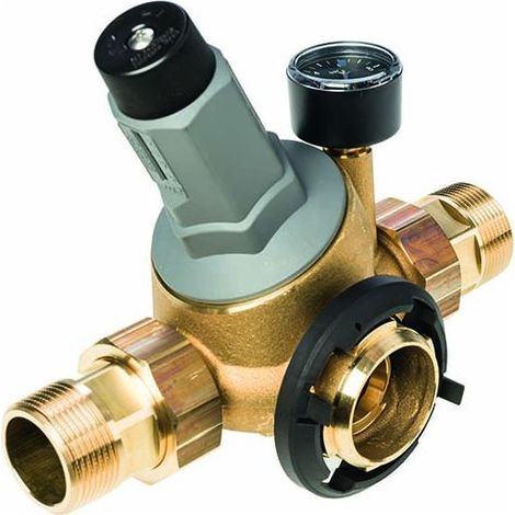 BWT Anschluss-Modul mit Druckminderer 1 1/4"x130 Druckminderer-Anschlussstück, HACCP, bleifrei