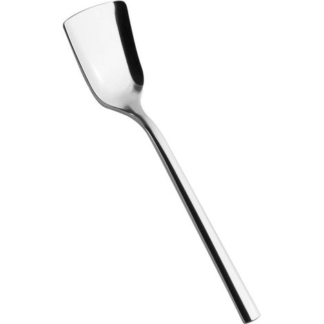 Salvinelli 250 set 12 paletta gelato acciaio inox 18/10