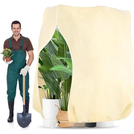 180x120cm 70g/m² Voile Hivernage Plante Exterieur, Indéchirable, Réutilisable Protection Hivernale pour Plantes avec Fermeture Éclair, Beige Housses de Protection pour Plantes pour Palmiers, Olivier (1/5)