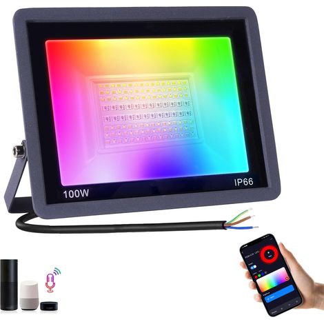 Projecteur LED Extérieur 100W - 1 Unité - Aluminium - RGB CW Dimmable IP66 - Jardin Cour Fête - Noir (1/5)