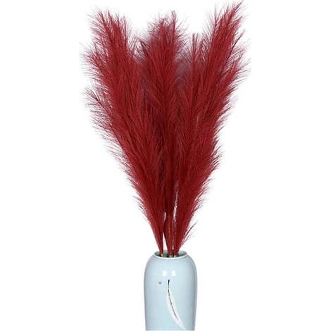 BelleRise - Herbe de la pampa naturelle séchée kaki pour décoration intérieure, mariages et soirées bohèmes (1/4)