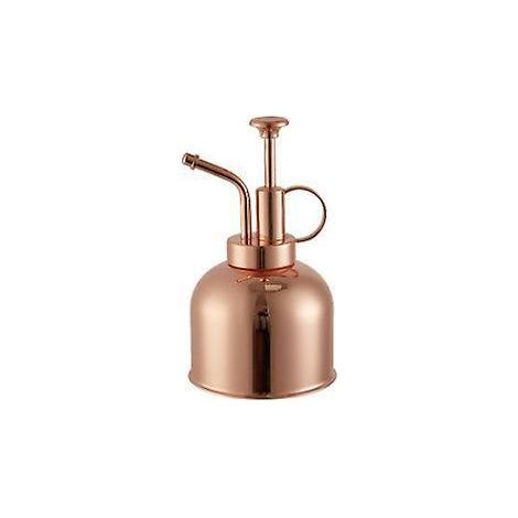 Vintage Rose Gold Stainless Steel 300ml Pressure Garden Sprayer (1/5)