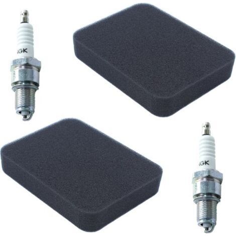 17211-899-000 Filtro dell'aria per motore Honda GX240 GX270 GX340 GX390 EB3000 EB3500 EB3800 EB4000 EB5000 EB6500 EM3000 EM3500 EM3800 EM4000 EM5000 EM6000 EM6500 EMS4000 EMS4500 Generatore (1/4)