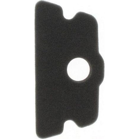Filtro Aire ALPINA, CASTELGARDEN P400, P450, P500