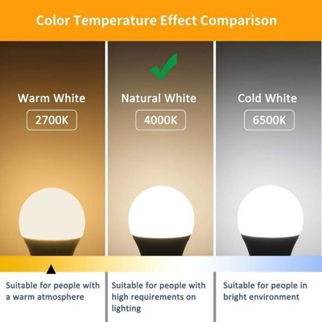 Ampoule LED E27 - 13 W - 4000 K Blanc Neutre - 3500 lm - Équivalent 100 W - Lot de 6 (1/4)