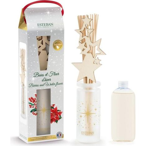 Esteban - Bouquet parfumé Baies et Fleurs d'hiver 100 ml