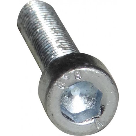 VIS RIS-3 M 6x28 TCHC RENSON