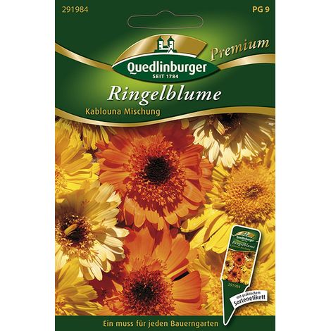 Quedlinburger Saatgut – Souci « Kablouna » en mélange – Graines de fleurs, fleurs comestibles, hauteur env. 50 cm