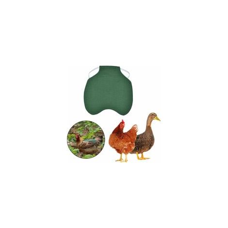 Lot de 3 gilets de protection réglables verts pour poules et volailles – (1/5)