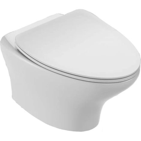 WC suspendu sans bride JACOB DELAFON Nouvelle Vague + abattant Economie d'eau (1/5)