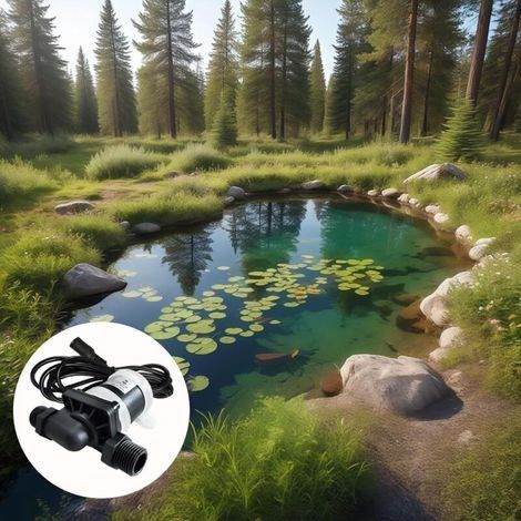 Bürstenlose 24-V-Gleichstrom-Wasserpumpe für die Wasserzirkulation, 5 m Förderhöhe, geeignet für Aquarien und Hydrokultursysteme (1/3)