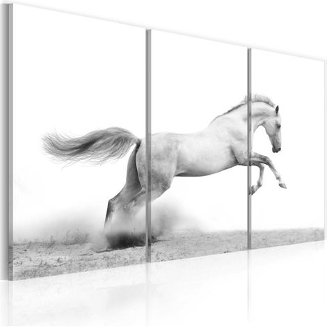Tableau Imprimé "Cheval au Galop" 60 x 90 cm (1/2)