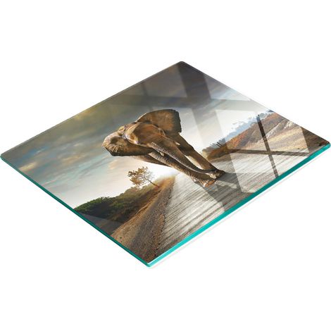 Planche de service de cuisine en verre trempé avec motif éléphant 60x52 cm (1/5)