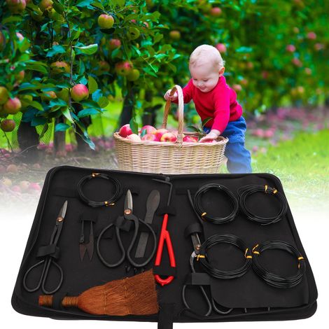 Ensemble d'outils pour bonsaï en acier au carbone : coupe-feuilles, sécateur, râteau, accessoires de jardinage (1/5)