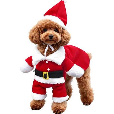 Costume de Père Noël pour chien et chat, capuche et bonnet, vêtement festif (1/5)
