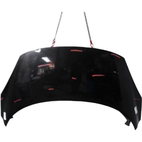 Capot RENAULT Scenic III 2009- [PRODUIT D'OCCASION]♻️651008842r (1/4)