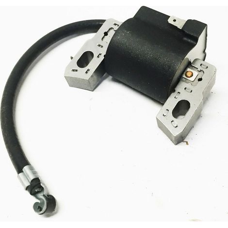 Briggs & Stratton 796499 Zündspule, Hochspannungszündspule, Verteiler geeignet für Briggs & Stratton Motoren. (1/3)