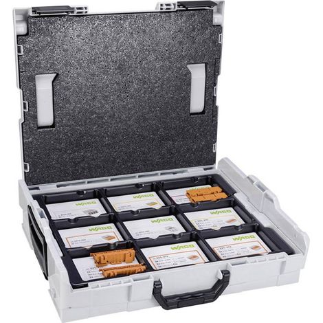 Banyo – Kit borne de connexion Wago 887-917 – 100 pièces – Section 0,5-2,5 mm² – Configuration raccord COMPAKT – Pour chantiers humides (1/3)
