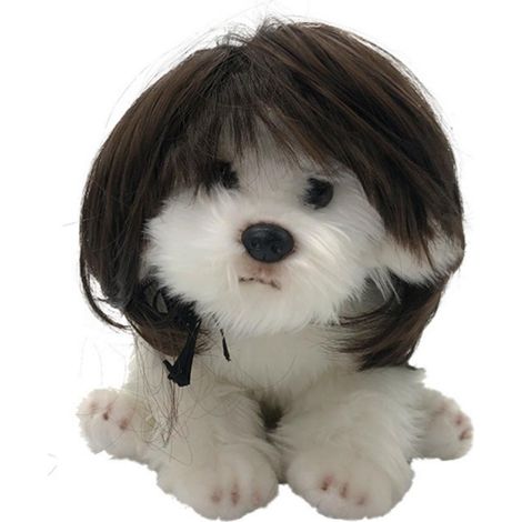 Peluca para perro, disfraz, tocado, pelo, poliéster, talla única, negro, marrón, 1 (1/5)