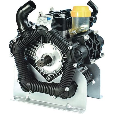 Pompe BERTOLINI 556000973VD