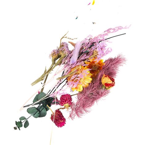 Fleurs Séchées Naturelles - Bouquet Coloré Parfumé - Matériaux Loisirs Créatifs Décoration Maison - 1 Lot (1/5)