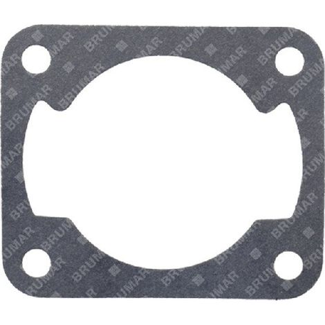 Guarnizione cilindro per decespugliatori BLX Compatibile - 057459