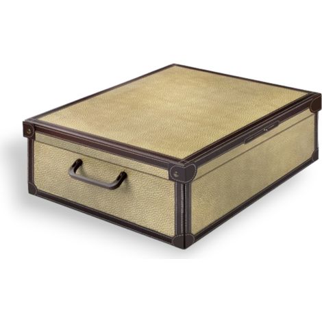 Scatola guardaroba sottoletto per cambio stagione 60x50x17 cm