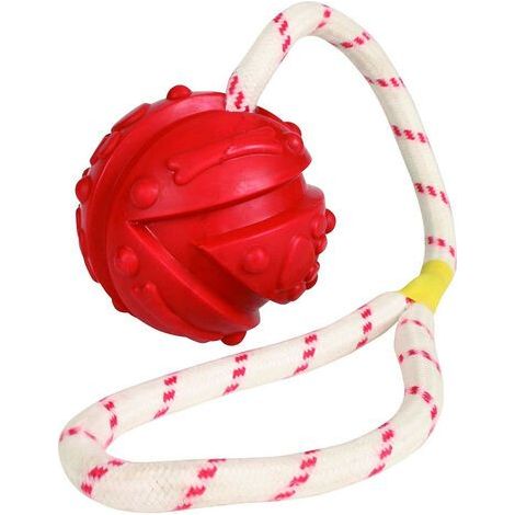 Wasserspiel Ball am Seil, Abmessungen: ø 7/35 cm, zufällige Farbe, für Ihren Hund.