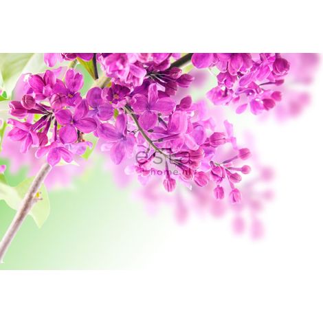 papier peint panoramique lilas rose  - ESTAhome (1/5)