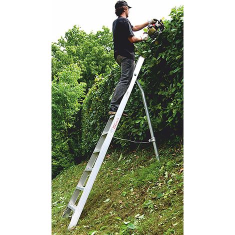 Obstleiter mit 6 Sprossen und obere Spitze - Max. Arbeitshöhe 3.24m - SCA1969/06-SCCSTO