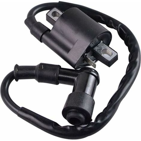 Bobine d’allumage noir Compatible avec Yamaha PW50 PY50 PEEWEE PY PW 50 Dirt Pit Bike Parts (1/4)