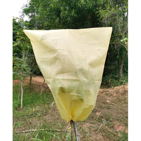 Housse de Protection pour Plantes Hivernage 2 Pièces,100x80cm,Réutilisable Anti-Gel (1/5)