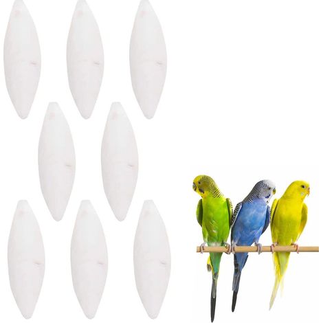 Os de Seiche Oiseaux,8pcs Os Seiche,Os de Seiche pour Tortue,Os de Seiches Perroquet,Os de Seiches Naturelle,5-7cm (1/5)