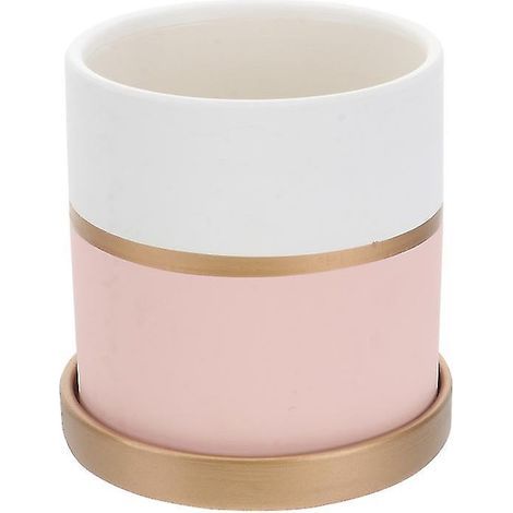 1 petit pot de fleurs pour plantes succulentes (1/3)