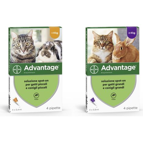Bayer ANTIPARASSITARIO ADVANTAGE PER GATTI E CONIGLI inferiori a kg.  4 (4 pipette)