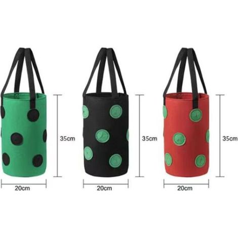 (3 Gallonen, 20 x 35 cm (13 Löcher), schwarz-grün gefärbt) 1 Packung Erdbeer-Pflanzbeutel