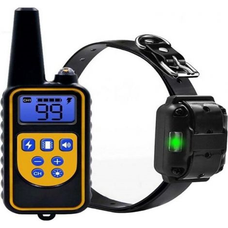Collier de dressage électrique pour chien, étanche à 800 m, avec télécommande