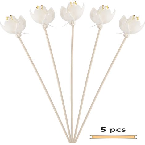 Bâtons diffuseurs de parfum de fleurs, 5 pièces, diffuseurs décoratifs sans flamme pour salon, chambre à coucher, salle de bain (1/5)