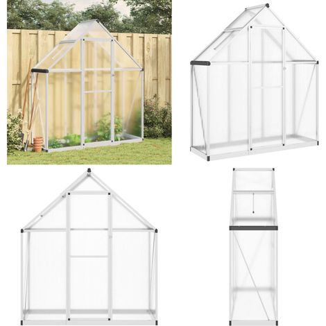 Serre avec cadre de base argent 169x58x195 cm aluminium - Serre De Jardin - Serre Portable - Serre En Polycarbonate - Abri Jardin - Protection Plante - Home & Living