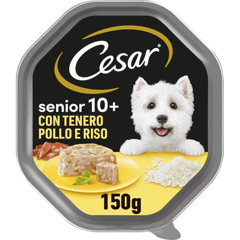 Cesar Senior 10+ Cibo per Cane con tenero Pollo e Riso, 150 g, 14 Vaschette (1/5)